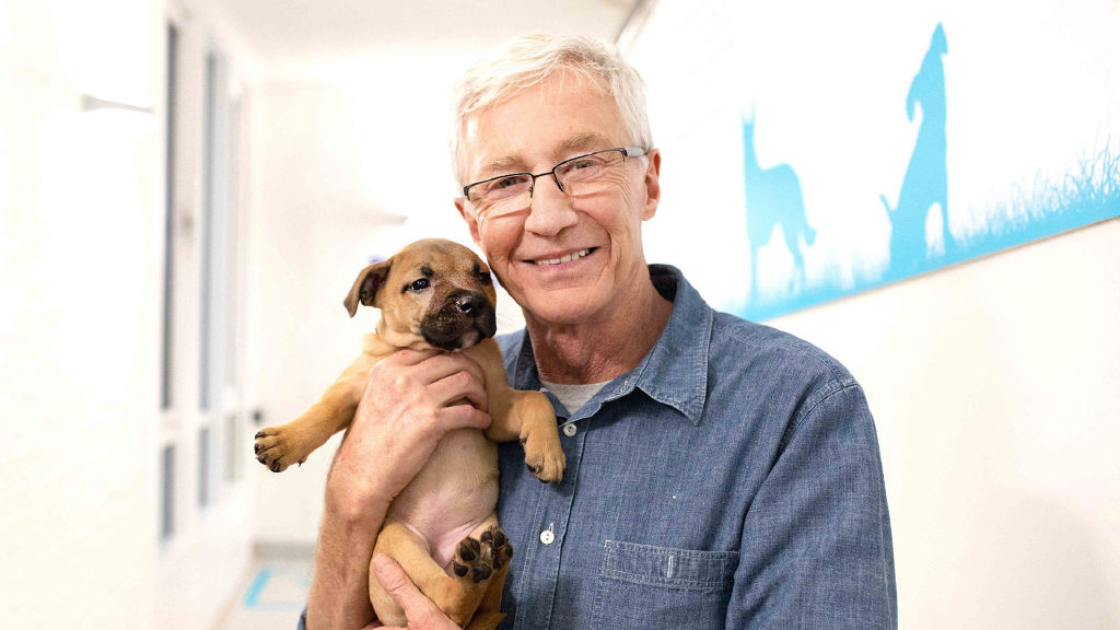 Paul O'Grady: For the Love of Dogs: What Happened Next