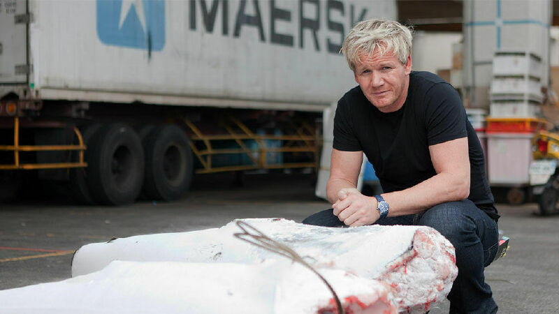 Gordon Ramsay: Shark Bait
